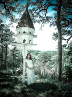 "Living the Fairy Tale"